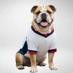 Portman & Pooch Dogs Football T-Shirt