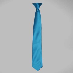 Premier Colour Satin Clip Tie