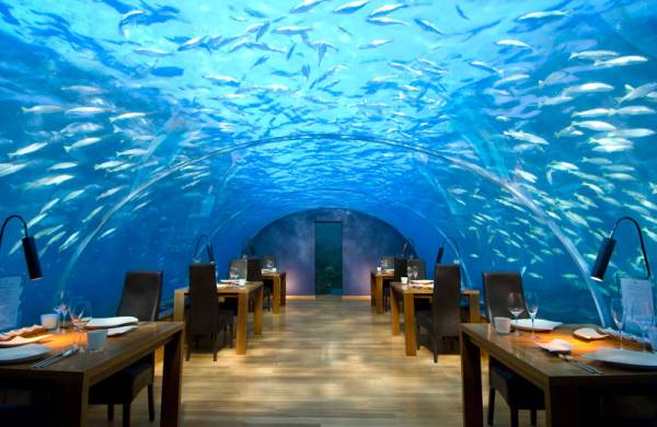 Ithaa Restaurant 